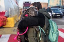 Χιλιάδες εκδρομείς εγκαταλείπουν την Αττική για το τριήμερο του Αγίου Πνεύματος - Πάνω από 35.000 αναχωρήσεις από τον Πειραιά την Παρασκευή και το Σάββατο