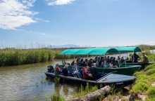 Δέλτα Έβρου 