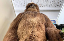 Διεθνές Μουσείο Κρυπτοζωολογίας | Πόρτλαντ, Μέιν, ΗΠΑ