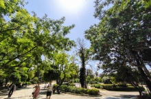 Ηλιοφάνεια