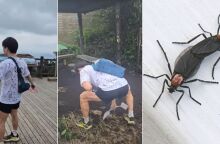 Νότια Κορέα: «Ερωτοέντομα» κατακλύζουν τη Σεούλ λόγω της κλιματικής κρίσης - Οι ειδικοί διχάζονται για τη διαχείριση, οι πολίτες εκφράζουν δυσαρέσκεια.