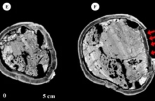 Μυστηριώδες κρανίο 6.000 ετών εντόπισαν αρχαιολόγοι στο Ιράν: Είναι παραμορφωμένο και βίαια χτυπημένο