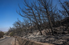 Καμένα από τη φωτιά στην Ιεράπετρα