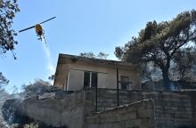 Φωτιά στο Κορωπί: Εικόνες καταστροφής με τις φλόγες να εισβάλλουν σε κατοικημένες περιοχές - Ισχυρές επίγειες και εναέριες δυνάμεις.