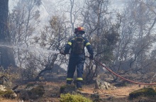 Φωτιά τώρα στη Λέσβο