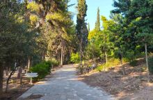 Άλσος Ιλισίων: Μια όαση γεμάτη δέντρα και μονοπάτια στην καρδιά της Αθήνας