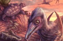 Νέα είδος πτερόσαυρου 209 εκατομμυρίων ετών ανακαλύφθηκε στην Αριζόνα - Είναι το αρχαιότερο ιπτάμενο ερπετό της Βόρειας Αμερικής