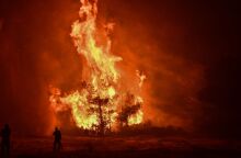 Ανεξέλεγκτη και σε δύο μέτωπα η φωτιά στον Ωρωπό: Συνεχείς αναζωπυρώσεις, πλησιάζουν τα πρώτα σπίτια στο Ασπροχώρι οι φλόγες