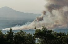 Φωτιά στον Ωρωπό: Προσήχθη ένας 72χρονος για εμπρησμό - Βρέθηκαν καμένες κυψέλες στο σημείο που άρχισε η πυρκαγιά