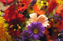 Εορτολόγιο: Σήμερα 16 Ioυλίου 2025 γιορτάζει…