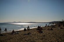 Τι να κάνετε αν σας τσιμπήσουν μωβ μέδουσες - Οι παραλίες όπου χρειάζεται προσοχή