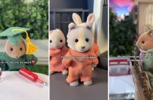 Η Epoch μηνύει TikToker για παρωδίες των Sylvanian Families με ενήλικο περιεχόμενο - Ο λογαριασμός με 2,5 εκατ. ακόλουθους στα social media προκαλεί αντιδράσεις