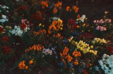 Εορτολόγιο