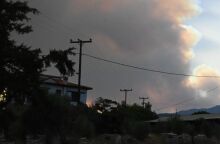 Φωτιά στην Κορινθία: Πολλαπλά μέτωπα στον Φενεό - Συνεχίζονται οι εκκενώσεις οικισμών