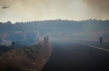 Εύβοια: Κάηκαν χιλιάδες ζώα - Ολοκληρωτική καταστροφή σε κτηνοτροφικές μονάδες και στάβλους