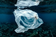 Πλαστική σακούλα στη θάλασσα