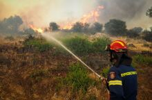 Εύβοια: Προσαγωγή οκτώ παιδιών, ηλικίας 13 και 14 ετών, μαζί με τους γονείς τους, μετά από έρευνα της Πυροσβεστικής για πυρκαγιές στην Αμάρυνθο.