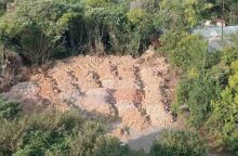 Θεσσαλονίκη: Συνελήφθησαν δύο άτομα για παράνομη απόρριψη 900 τόνων μπαζών, προκαλώντας περιβαλλοντική ρύπανση και αλλοίωση γεωτεμαχίου στη δυτική πλευρά.