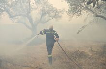 Το Meteo προβλέπει ισχυρούς ανέμους στην περιοχή της Κερατέας, καθιστώντας τις συνθήκες δύσκολες για την κατάσβεση της φωτιάς - Προσωρινή ύφεση τη νύχτα.