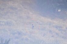 Πάτρα: Οι φωτογραφίες - ντοκουμέντα για τους εμπρησμούς - Οι κινήσεις των τριών δραστών 