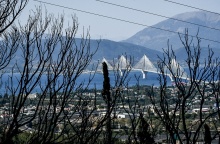 Καμένες εκτάσεις στην Αχαΐα