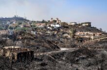 Φωτιά στη Χίο: Συνεχίζεται η μάχη με τις αναζωπυρώσεις - Μήνυμα του 112 για εκκένωση σε Λεπτόποδα και Καμπιά
