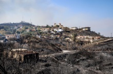 Καμένες εκτάσεις στη Χίο