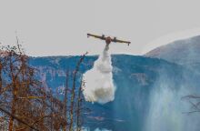 Υπάρχει άλλη πολιτική για τον έλεγχο των πυρκαγιών;