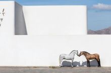 Ο φωτογράφος Γιώργος Κορδάκης και η αβίαστη ματιά στην ομορφιά