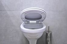 Οι ειδικοί εξηγούν πόσο πραγματικός είναι κίνδυνος μόλυνσης από τουαλέτες και ποιοι είναι οι πραγματικοί ένοχοι μετάδοσης - Πόσο βάσιμες είναι οι ανησυχίες