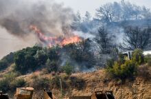 Οκτώ αλήθειες και μύθοι για τις φωτιές