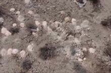 Πάνω από 100 στοίβες αποτεφρωμένων υπολειμμάτων εντοπίστηκαν στην έρημο της Νεβάδα, οδηγώντας σε ομοσπονδιακή έρευνα.