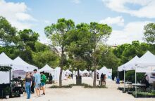 ΚΠΙΣΝ: Green Weekend 2025 - Σάββατο 20 και Κυριακή 21 Σεπτεμβρίου στο Πάρκο Σταύρος Νιάρχος, με θέμα Urgent Conversations | Επείγουσες Συζητήσεις