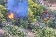 Σύλληψη για εμπρησμό στον Υμηττό: Άγνωστα τα κίνητρα του άνδρα ο οποίος κατηγορείται ότι προκάλεσε πυρκαγιά στις 2 Αυγούστου - Πού στρέφονται οι έρευνες