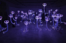 Athens Digital Arts Festival 2025 | "Medusa Valley"