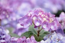 Εορτολόγιο: Σήμερα, 20 Σεπτεμβρίου 2025, γιορτάζει…