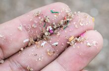 Έρευνα αποκάλυψε ότι χιλιάδες μικροσκοπικά σωματίδια πλαστικού μπορούν να εισέλθουν στις ρίζες των λαχανικών και να φτάσουν στα βρώσιμα μέρη τους.