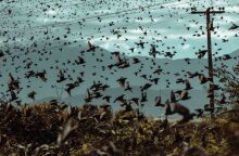 Σεπτέμβριος: Ένας μήνας αφιερωμένος στη λογοτεχνία