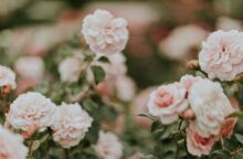 Εορτολόγιο: Σήμερα 23 Σεπτεμβρίου 2025 γιορτάζει…