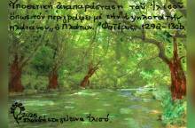 Ο πλάτανος του Πλάτωνα στον Ιλισό