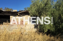 Ο στάβλος στον οποίο η 62χρονη είχε θάψει τη μητέρα της