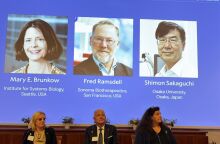 Στους Mary Brunkow, Fred Ramsdell και Shimon Sakaguchi το Βραβείο Νόμπελ Ιατρικής 2025 – Τι ανακάλυψαν