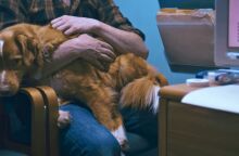 Good Boy: Το πιο αναμενόμενο θρίλερ της χρονιάς έρχεται στις αίθουσες από το Cinobo