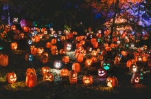 Κολοκύθες κομμένες και με φως μέσα τους