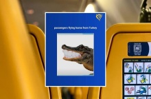 Ryanair: Με χιουμοριστικό post στα social media που δείχνει έναν κροκόδειλο με αστραφτερά δόντια, η αεροπορική εταιρία σατιρίζει τον «οδοντιατρικό τουρισμό».