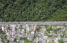 Η ρύπανση στον Αμαζόνιο χειρότερη από το Λονδίνο και το Πεκίνο - Νέα δεδομένα της Greenpeace - Aιτία η βιομηχανική κτηνοτροφία. 