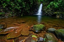 Η Ελληνική Εταιρεία Προστασίας της Φύσης για τα διακυβεύματα της COP30 για το κλίμα