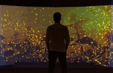 Το Εθνικό Μουσείο Φυσικής Ιστορίας Γουλανδρή  παρουσιάζει τη συναρπαστική Έκθεση «Βιοποικιλότητα. Όλα συνδέονται».