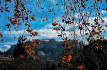 Άνοιξη θυμίζει την Παρασκευή ο καιρός -  Ισχυροί οι άνεμοι στο Αιγαίο