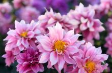 Εορτολόγιο: Σήμερα 15 Νοεμβρίου 2025 γιορτάζει…